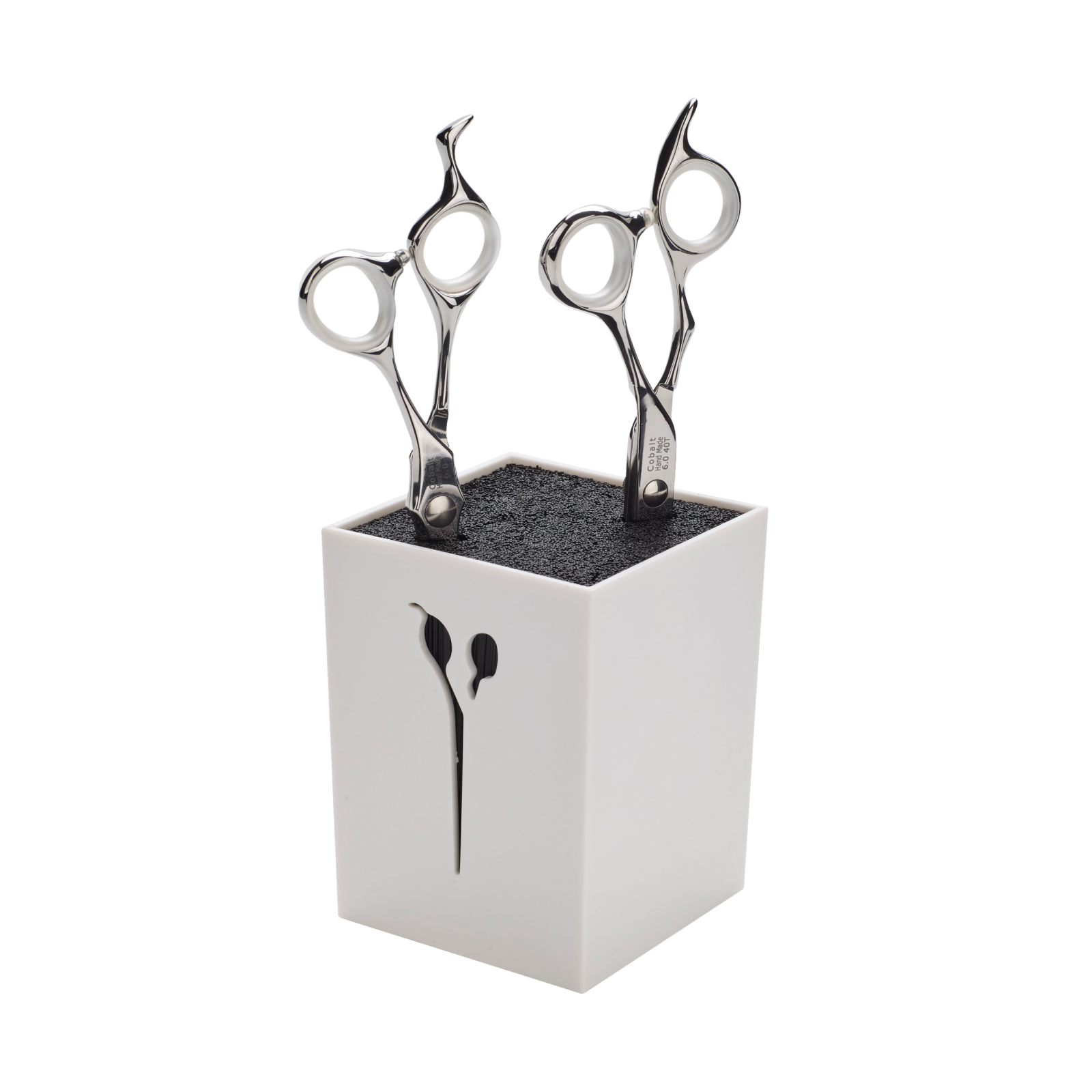 Sakseholder SCISSORS